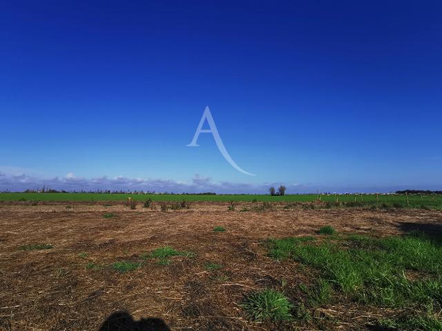 Talmont Saint Hilaire Vente Terrain 85