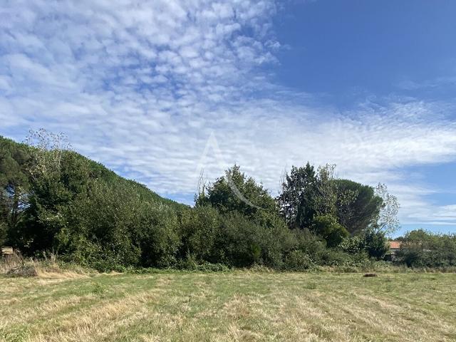 Talmont Saint Hilaire Vente Terrain 85