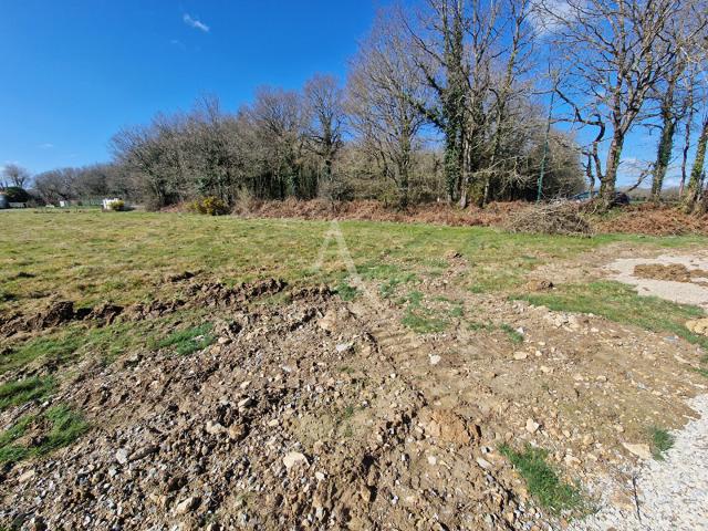 Talmont Saint Hilaire Vente Terrain 85