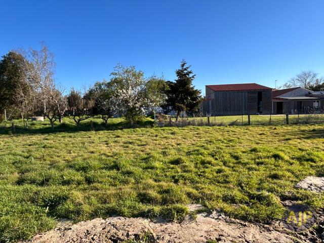 Talmont Saint Hilaire Vente Terrain 85