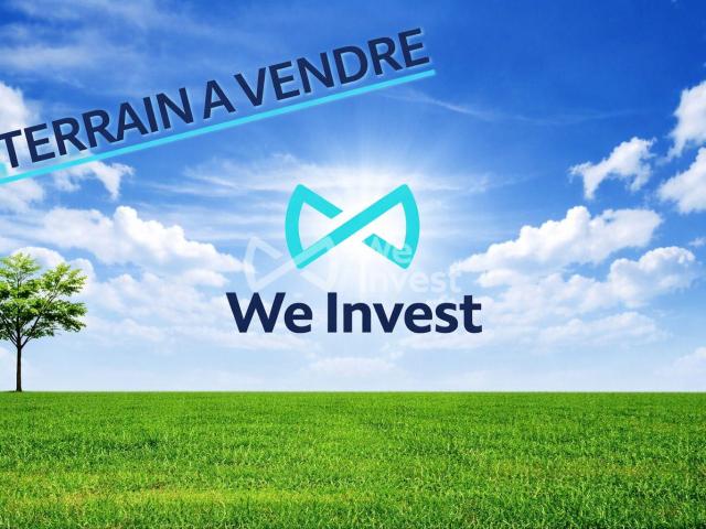 Talmont Saint Hilaire Vente Terrain 85