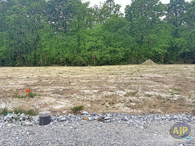 Talmont Saint Hilaire Vente Terrain 85