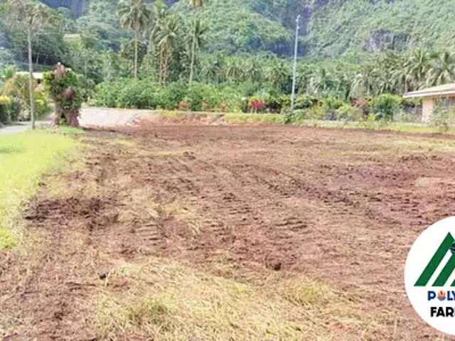 Taputapuatea 98735 Achat / Vente terrain