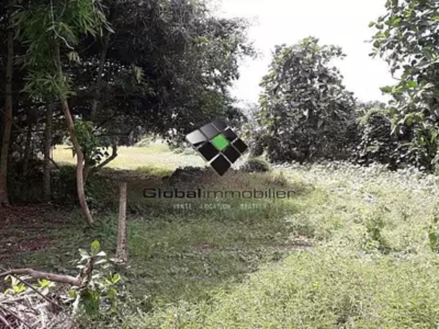 Taputapuatea 98735 Achat / Vente terrain