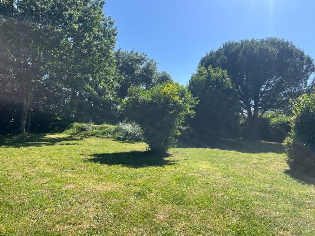Tarabel Vente Terrain 31