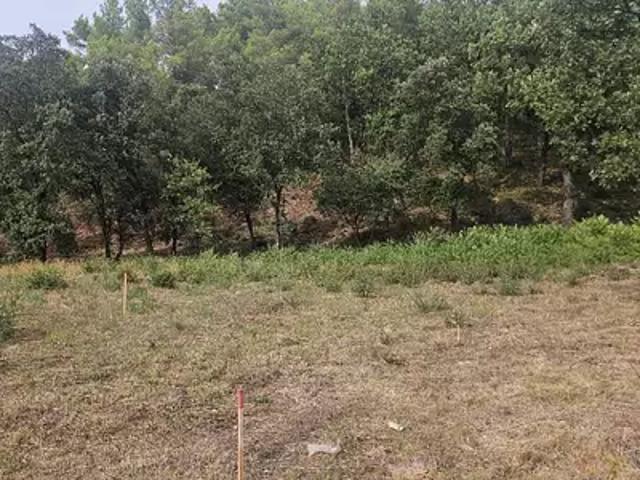 Taradeau 83460 Programme neuf terrain neuf à vendre