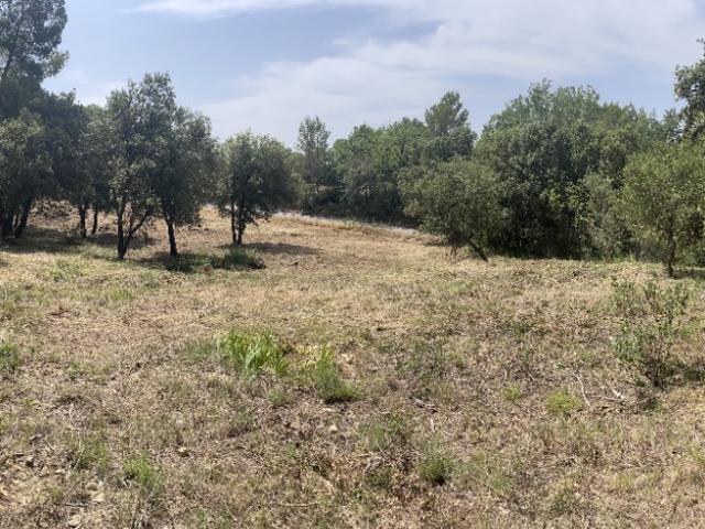 Taradeau Vente Terrain 83