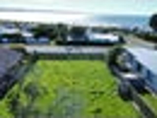 Taramea Bay Section