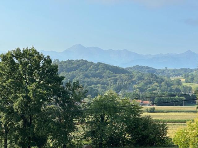 Tarbes Vente Terrain 65