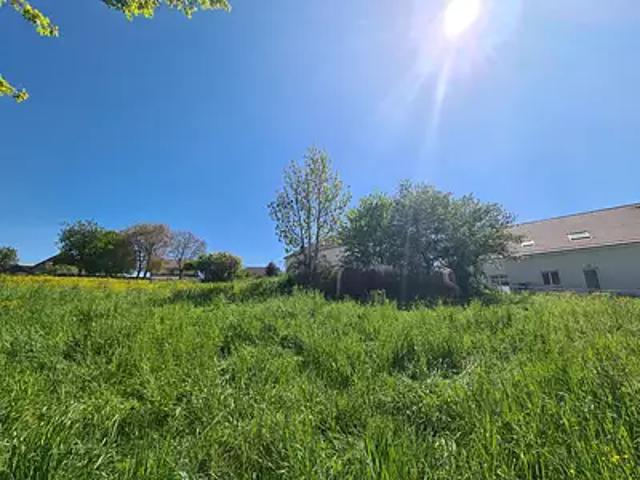 Tarcenay Foucherans 25620 Achat / Vente terrain