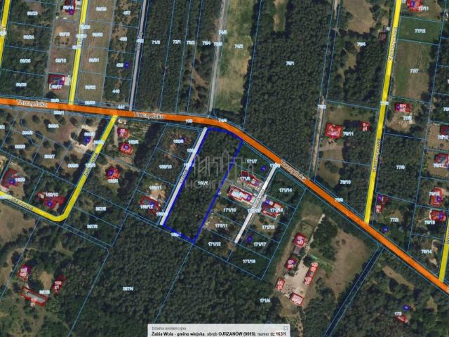 Tarczyńska 6 000 m², Ojrzanów