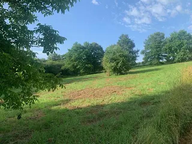 Targon 33760 Achat / Vente terrain