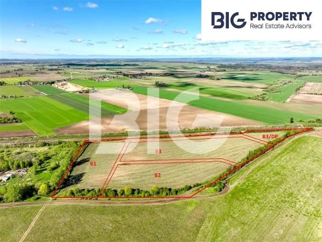 Targowa 12 000 m², Potęgowo