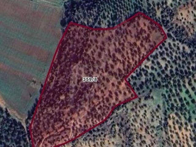 TARIMSAL VE TİCARİ DEPOLAMA ALANININ YANINDA SATILIK ARAZİMİZİN FİYATI DÜŞTÜ