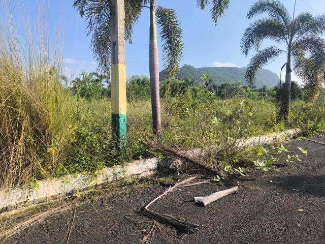Tarluwada Lands Sale 167 Sq. Yd. Plot in Anandapuram Vizag Listing ID: #9616