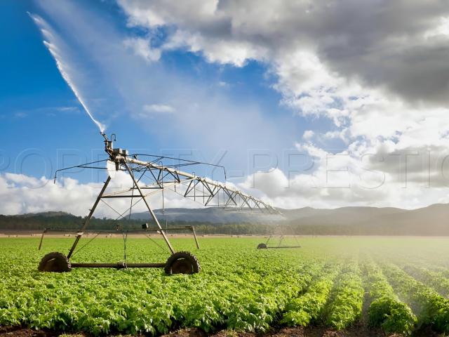 TARN FONCIER AGRICOLE 72 HA IRRIGUE