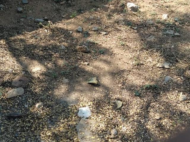 Tarnaka, Secunderabad 222 Sq.Yd. Plot in Tarnaka Hyderabad Listing ID: #10036