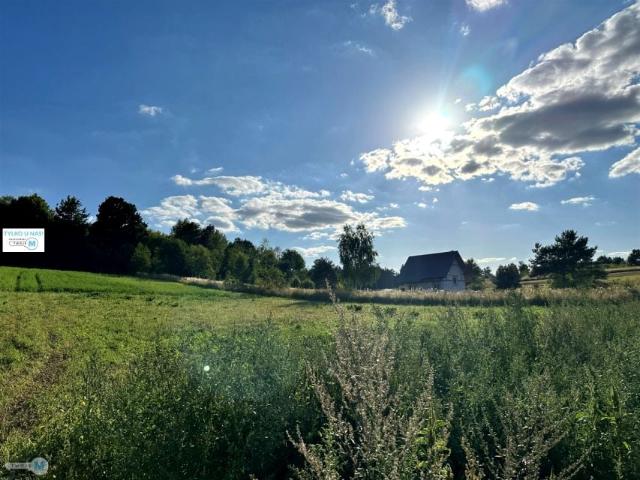 Tarnowska 800 m², Wola Morawicka