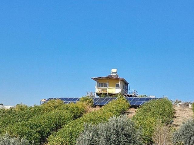 TARSUS CIRBIKLI KÖYÜ 8 DÖNÜM SATILIK TARLA