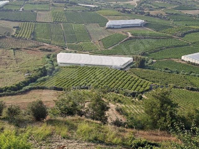 TARSUS SARIVELİDE SATILIK SERA VE NEKTARİ BAHÇESİ