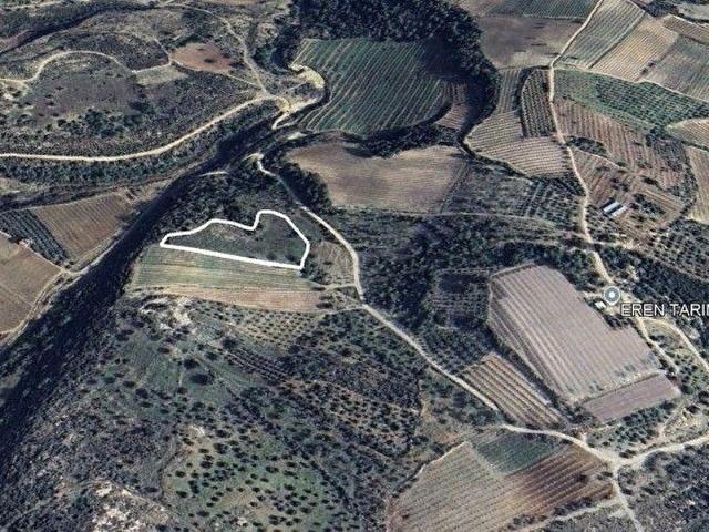 TARSUS SUCULAR'DA 6535 M2 YATIRIMLIK ZEYTİNLİK & TARLA