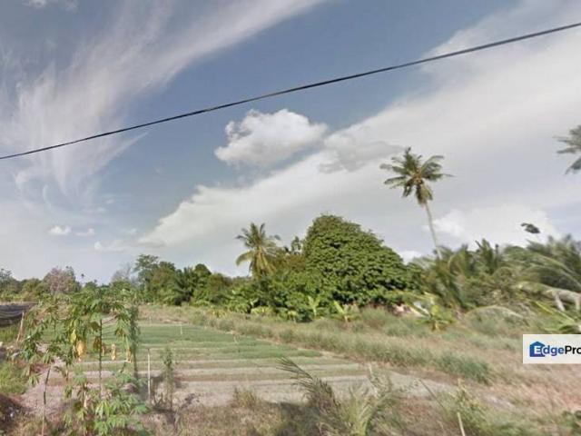 Tasek Gelugor
