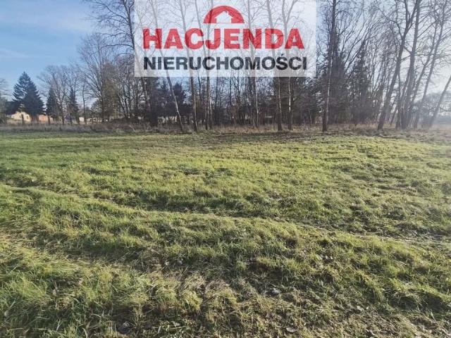 Działki budowlane w Tatynii blisko lasu i miasta
