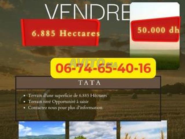Tata, Maroc Superficie 6885 hectares