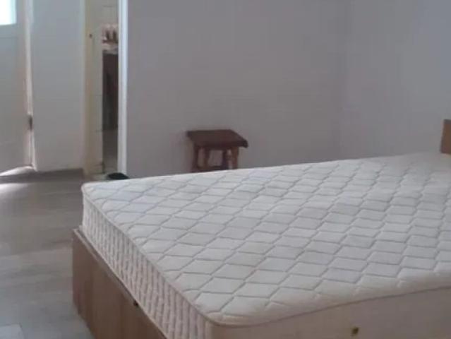 Tatarasi apartament 34 mp, 1 camera, nedecomandat, de inchiriat, Kaufland, Cod 162734
