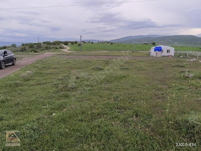TATLICADA 579M2 İMARLI TEK TAPU KONUT ARSASI YOLU AÇIK