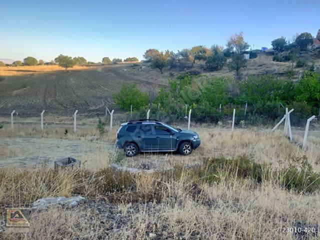 TATLICADA 6218M2 ETRAFI ÇEVRİLİ HAZIR BAHÇE