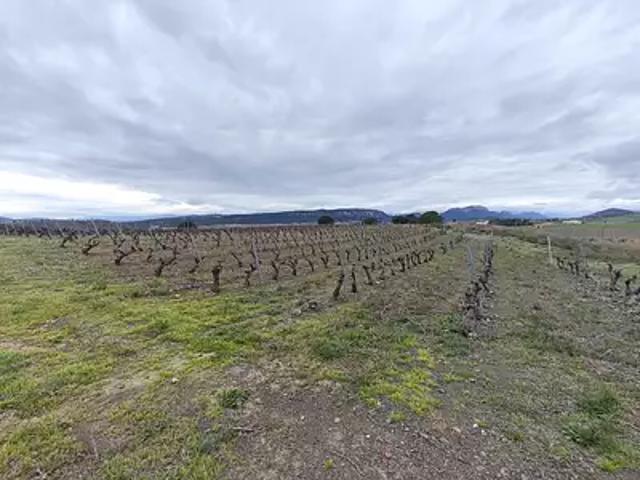 Tautavel 66720 Achat / Vente terrain