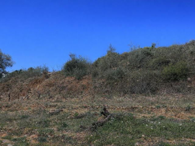 Tautavel Vente Terrain 66