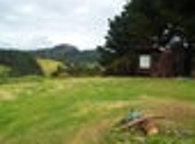 Taupo Bay Unique Lifestyle Block