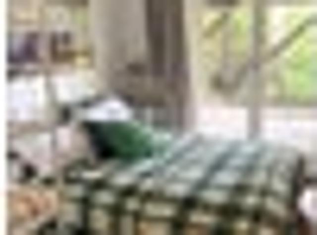 Tauranga South, 1 bedroom, $450 pw
