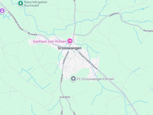 Tauschimmobilie Charmantes 5 Zimmer Haus in Grosswangen mit grosszügigem Wohnraum