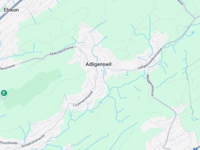 Tauschimmobilie Charmantes 5.5 Zimmer Haus in malerischer Lage von Adligenswil