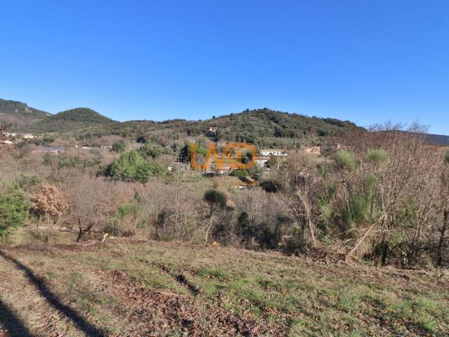 Taussac la Billière Vente Terrain 34