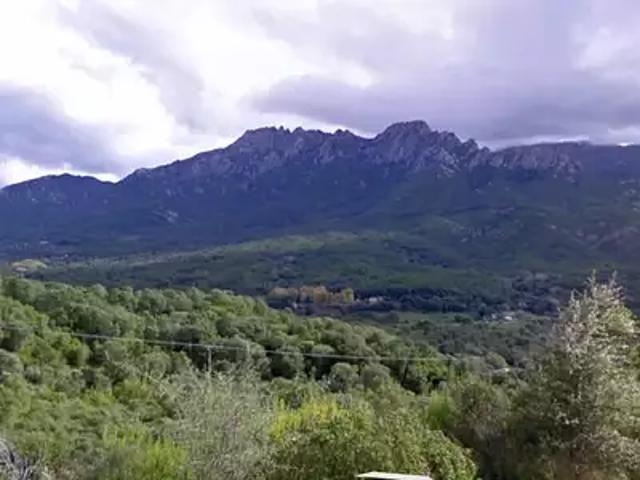 Tavaco 20167 Achat / Vente terrain