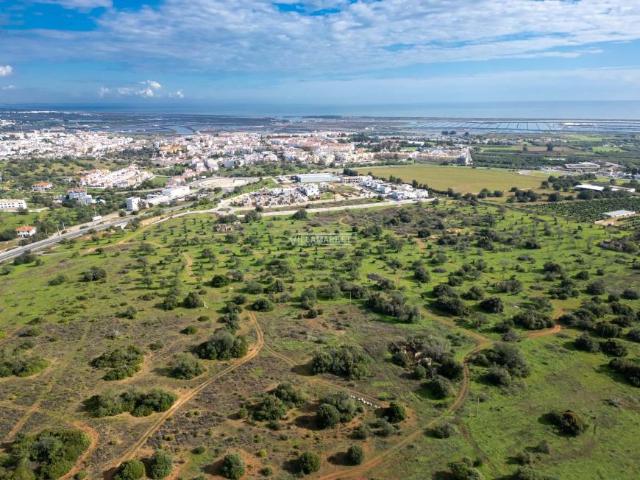 Tavira Algarve 49137056