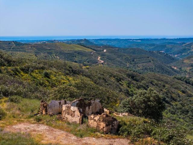 Tavira Algarve 99724367