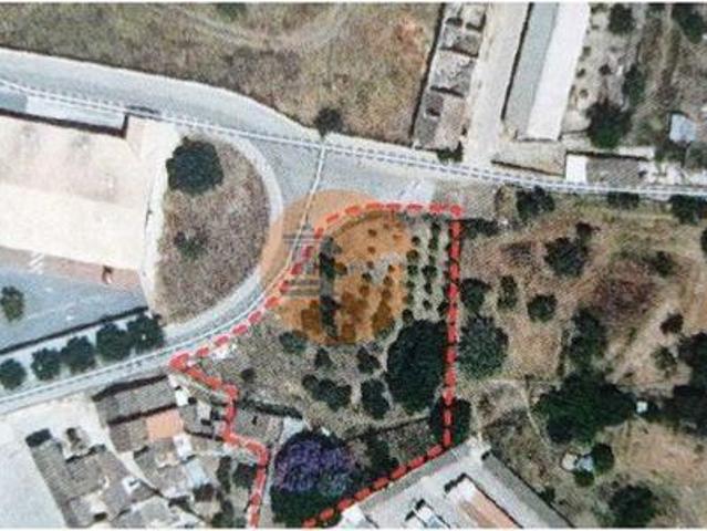 Tavira Faro 8800 LS96319634