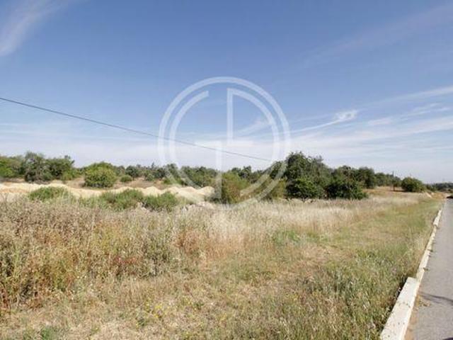 Tavira Faro 8800 LS97112813