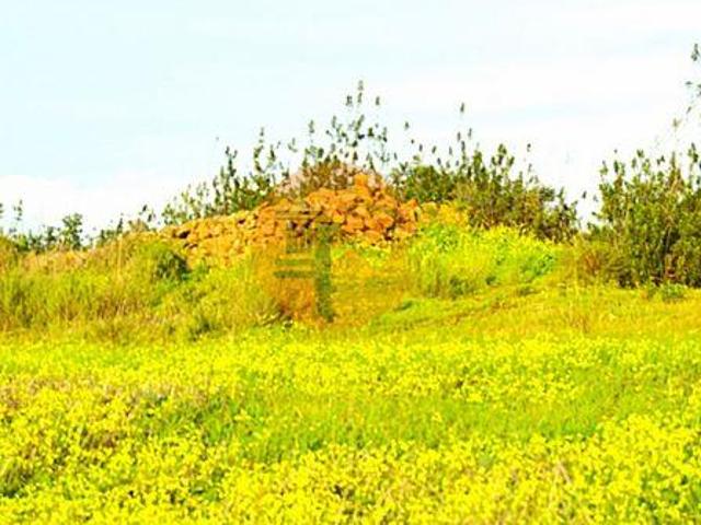 Tavira Faro 97103891