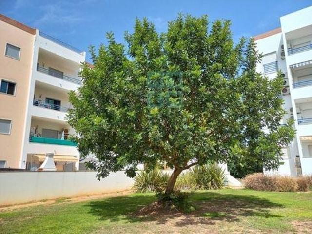 Tavira Faro 104685374
