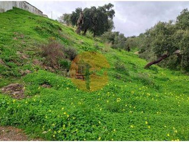 Tavira Faro LS100057616