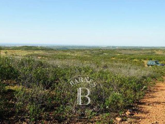 Tavira Tavira 8800 211 96324996