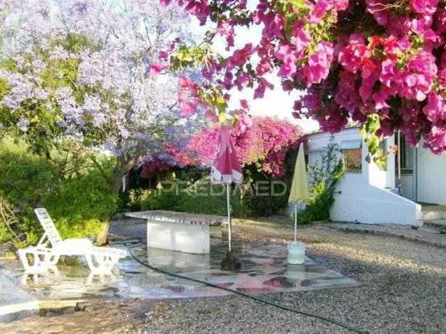Tavira terreno com moradia / land with house