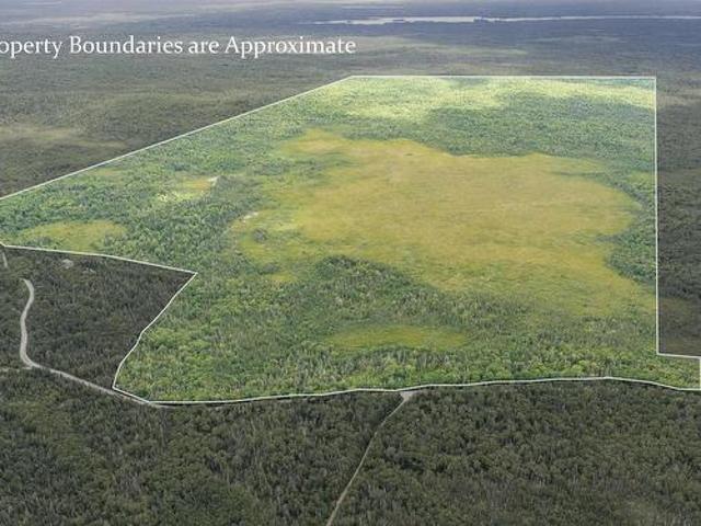 Tbd Canada Hill Road, Allendale, NS, B0T 1L0 vacant land for sale | Listing ID 202619 | Royal LePage