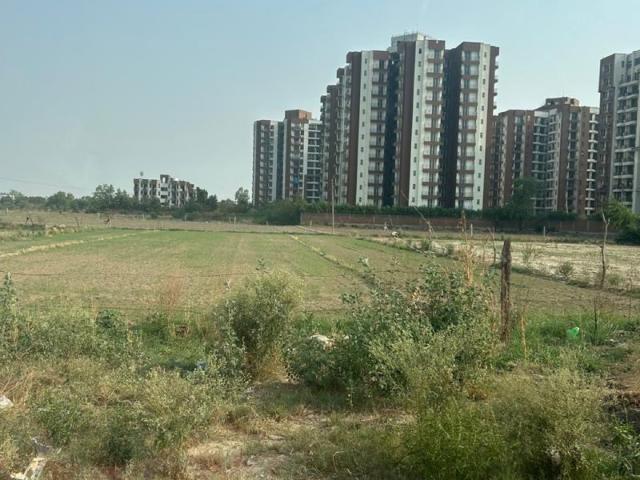 TDI City Kundli 300 Sq. Yd. Plot in Kundli Sonipat Listing ID: #10029